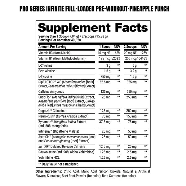 Infinite Fully Loaded Pre-Workout 40/20