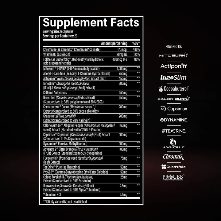 FAT BURNER 120 caps
