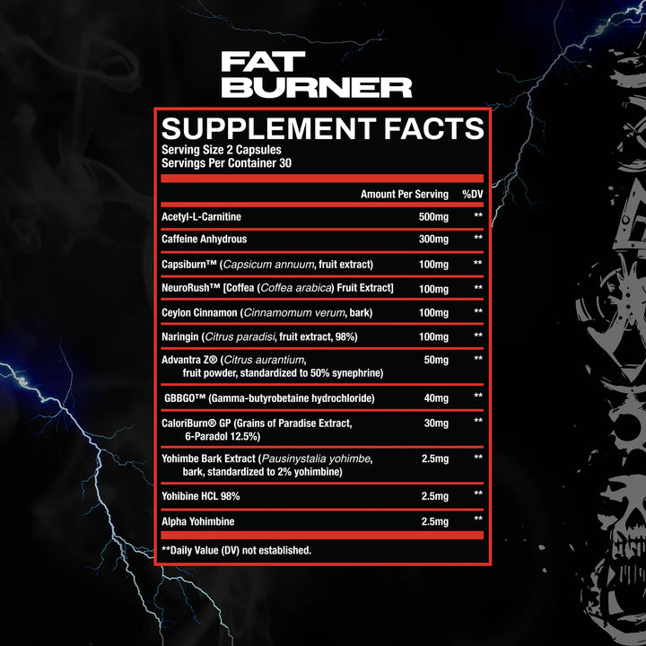 FAT BURNER 60 caps 30 porciones