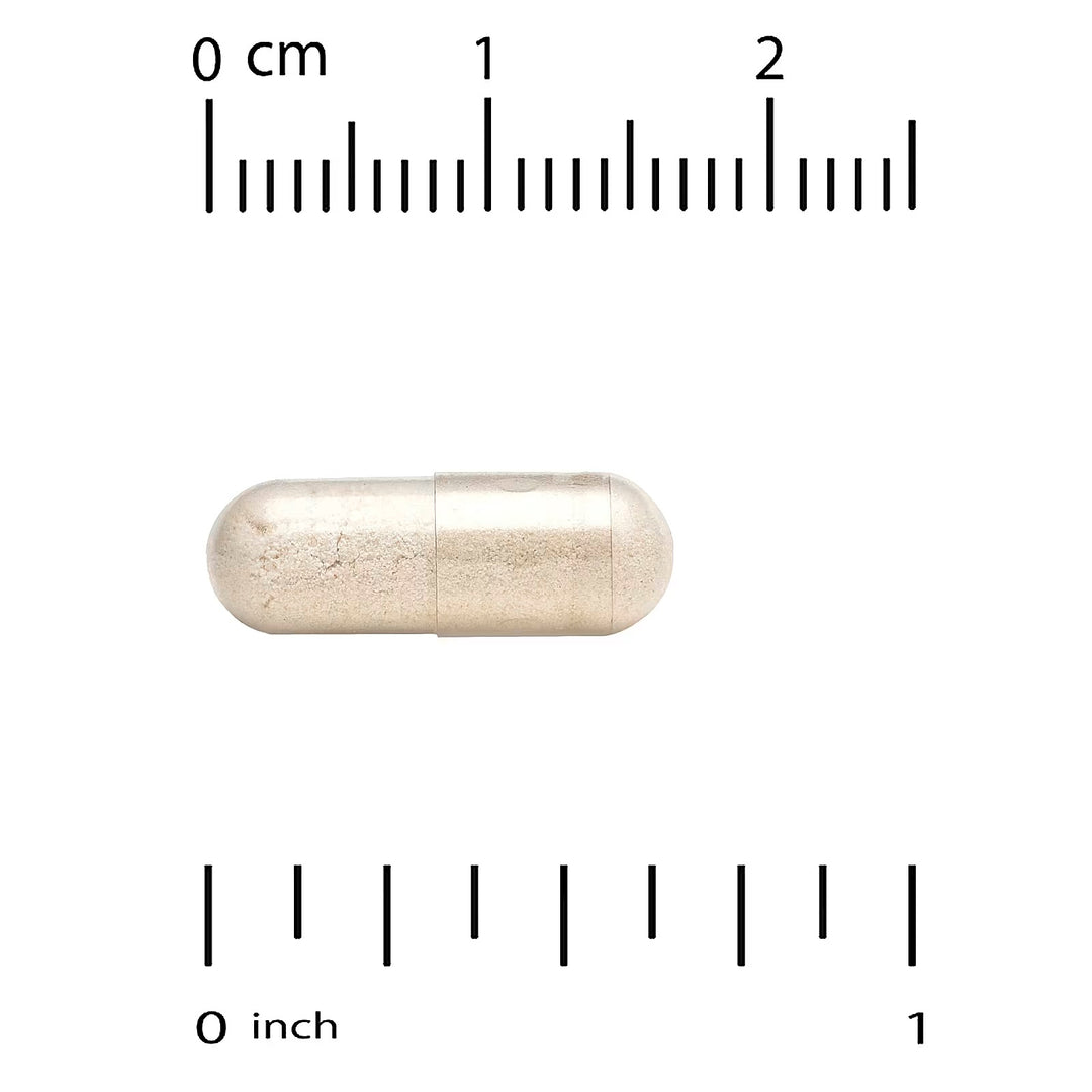 Spermidine Espermidina, Extracto de germen de arroz, 1 mg, 30 caps