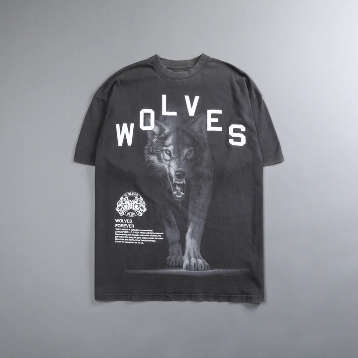 IN THE SHADOWS "PREMIUM VINTAGE" OVERSIZED TEE IN WOLF GRAY