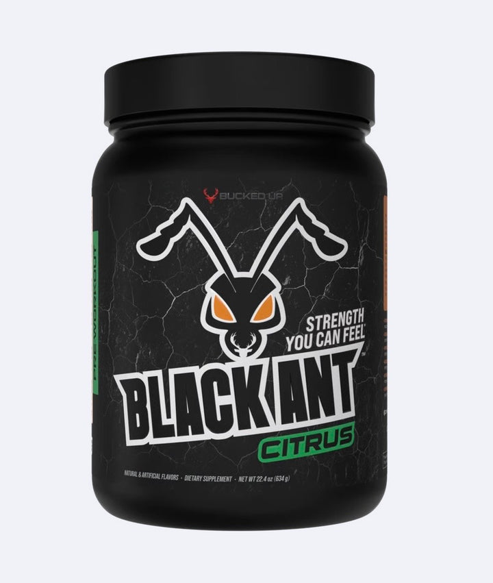 Bucked Up Black Ant 40 porciones