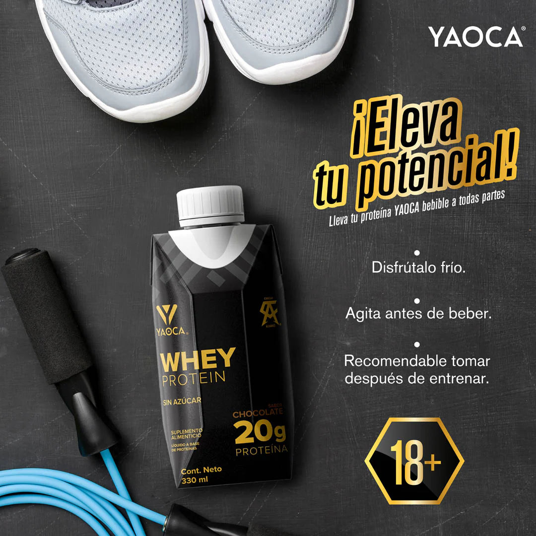 PROTEÍNA WHEY BEBIBLE CHOCOLATE RTD 1 PZA 330ML