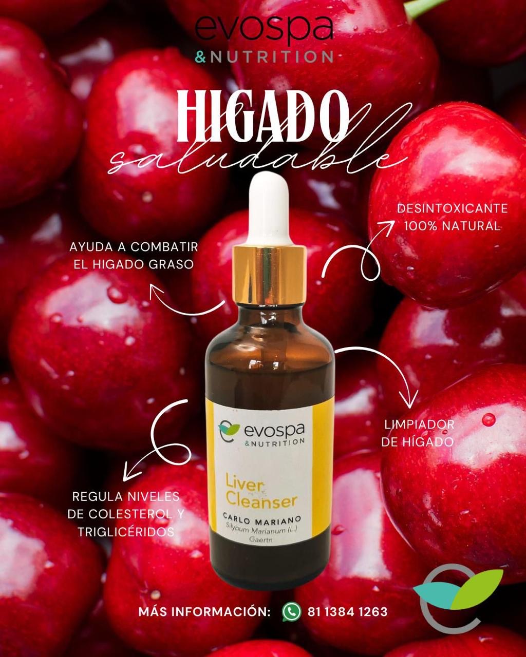 Evospa Liver cleanser (Cardo Mariano) 50ml