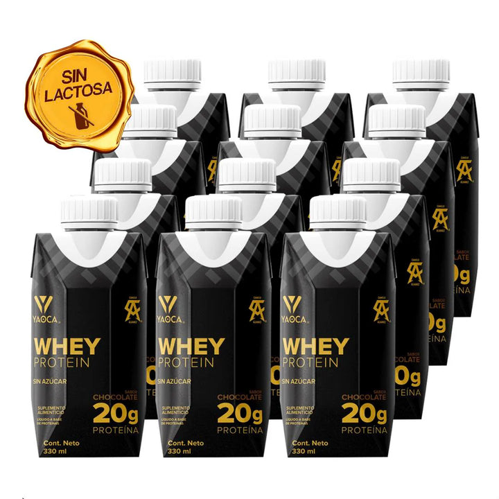 PROTEÍNA WHEY BEBIBLE CHOCOLATE RTD 1 PZA 330ML