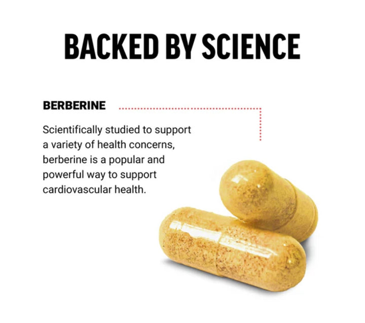 BERBERINE 60 caps