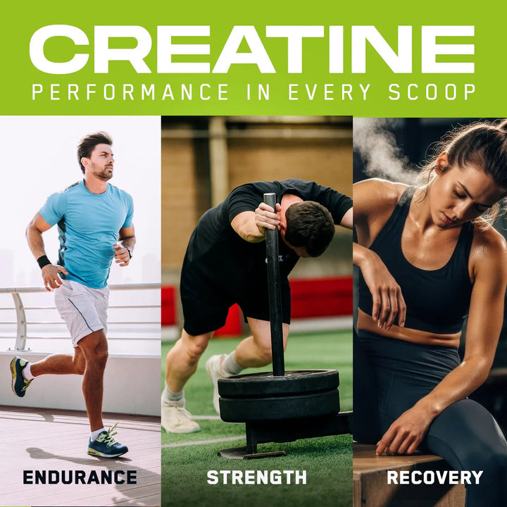 AN Creatine Monohydrate Creapure 50 porciones