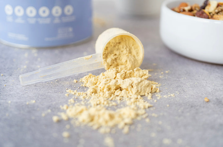 Protein Probiotic Vanilla 16 porciones